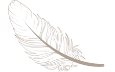 Illustration d’une plume symbolisant la libération émotionnelle et le lâcher-prise intérieur